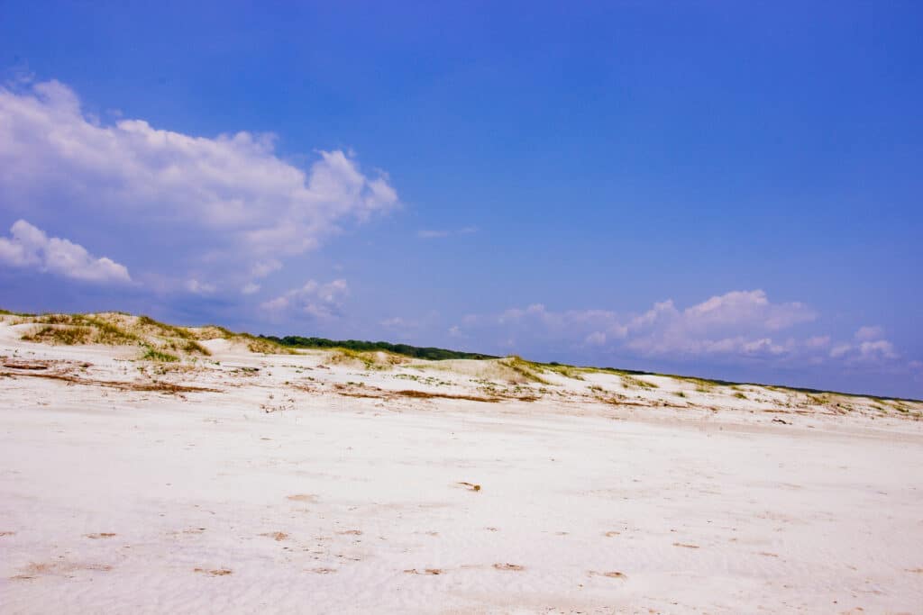 the-sand-dunes-on-the-beach-of-cumberland-island-national-seashore-near-kingsland-georgia
