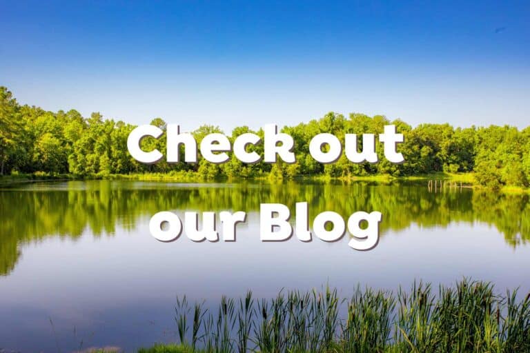 check-out-the-kingsland-georgia-blog-new-stories-things-to-do-coastal-georgia