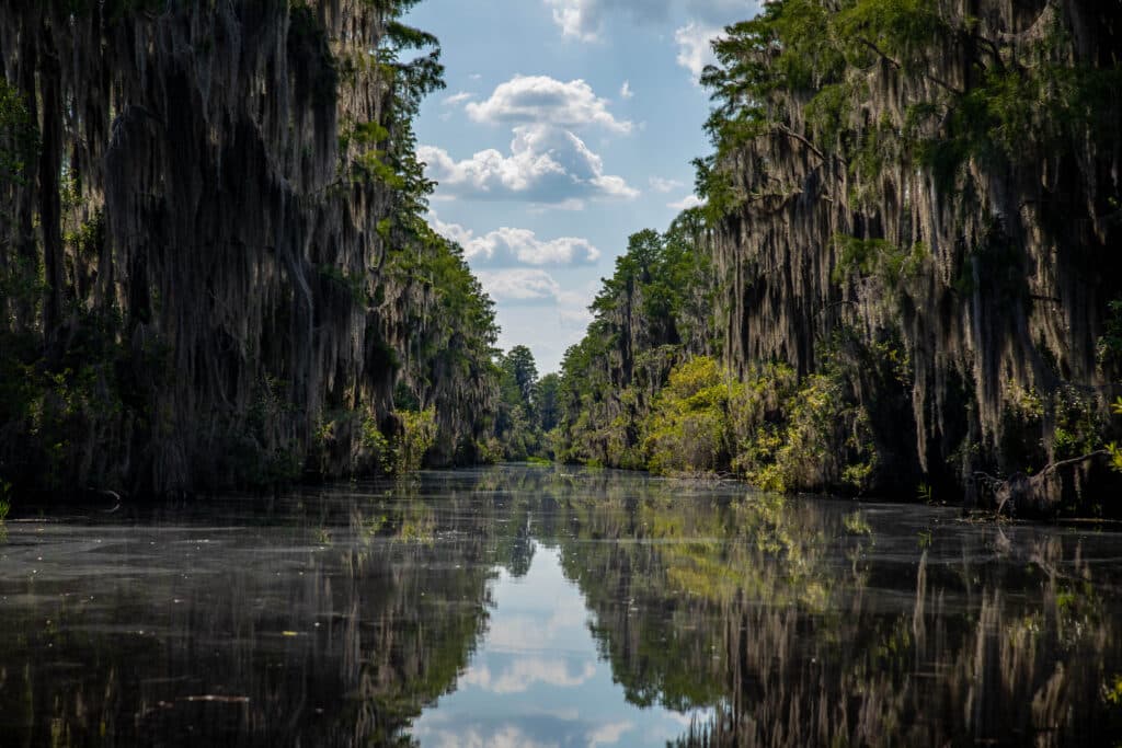 okefenokee-national-wildlife-refuge-the-suwannee-canal-mirror-like-waters-blue-skies-near-kingsland-georgia