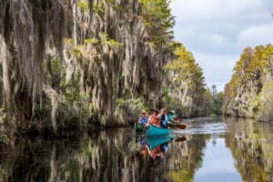 people-on-a-canoe-in-the-okefenokee-national-wildlife-refuge