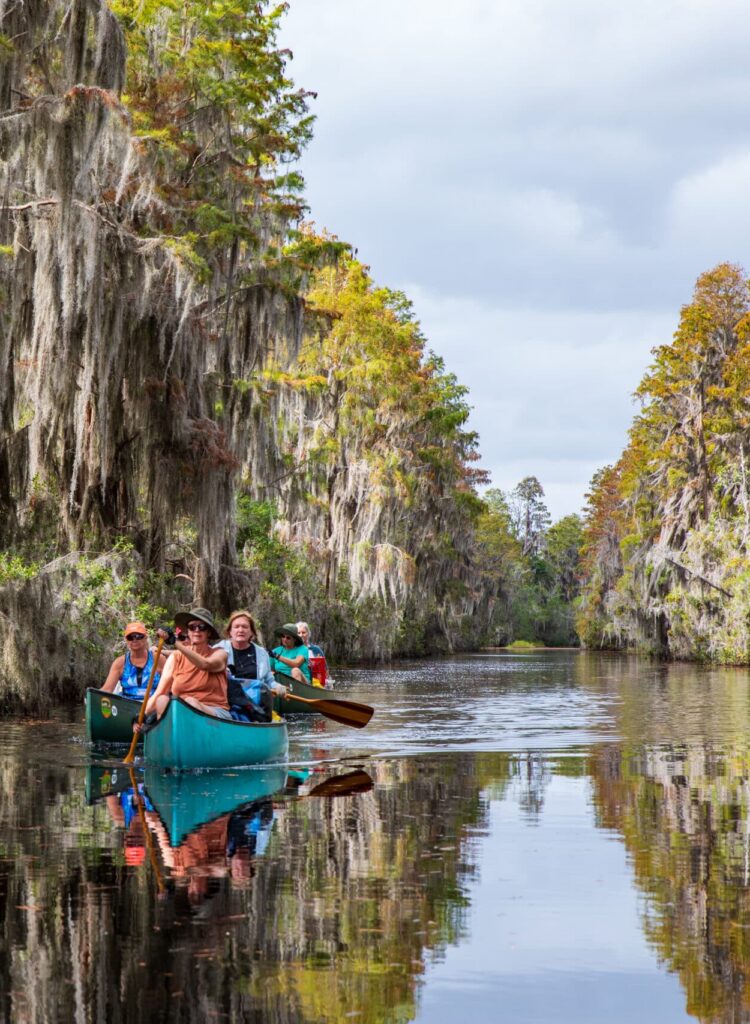 people-on-a-canoe-in-the-okefenokee-national-wildlife-refuge