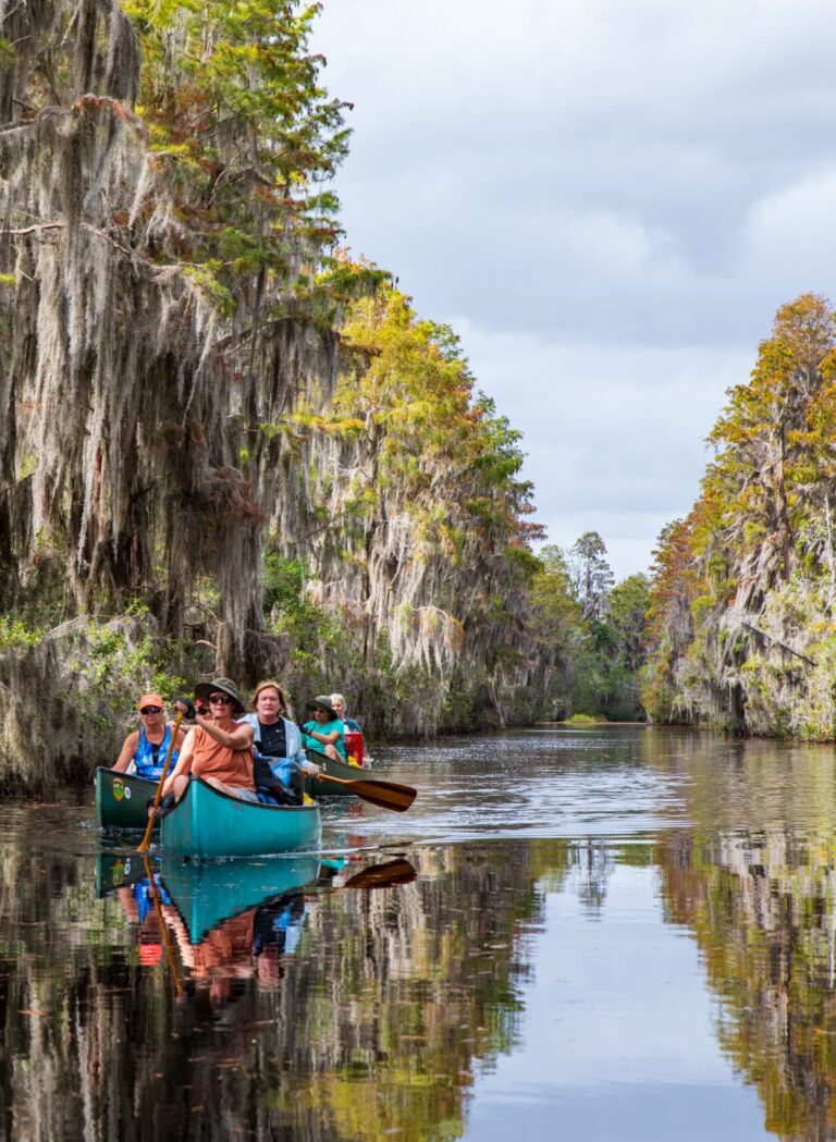 people-on-a-canoe-in-the-okefenokee-national-wildlife-refuge