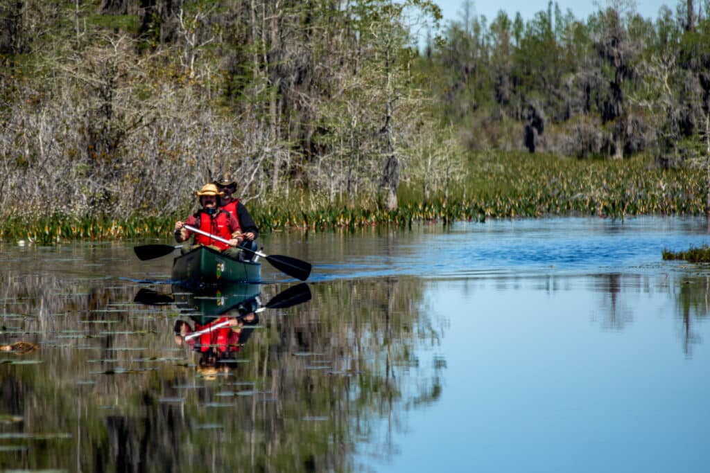 people-on-a-canoe-in-the-okefenokee-national-wildlife-refuge