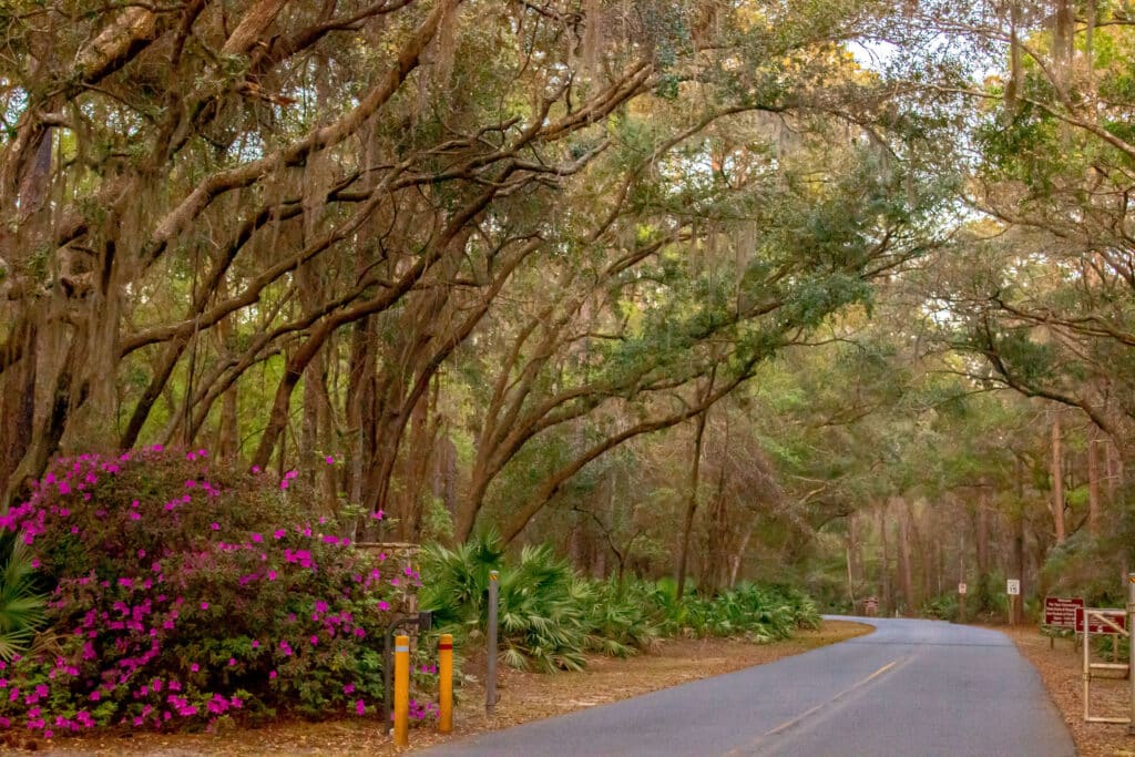 the-entrance-of-crooked-river-state-park-a-canopy-of-trees-over-the-road