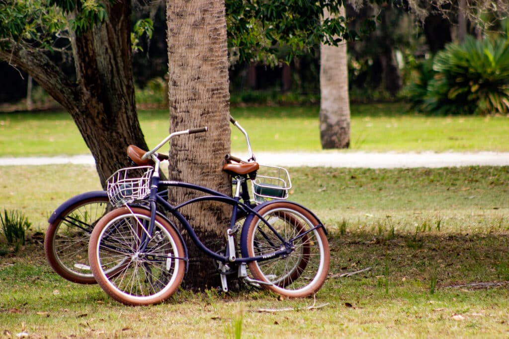 bicyles-on-cumberland-island-national-seashore-near-Kingsland-georgia