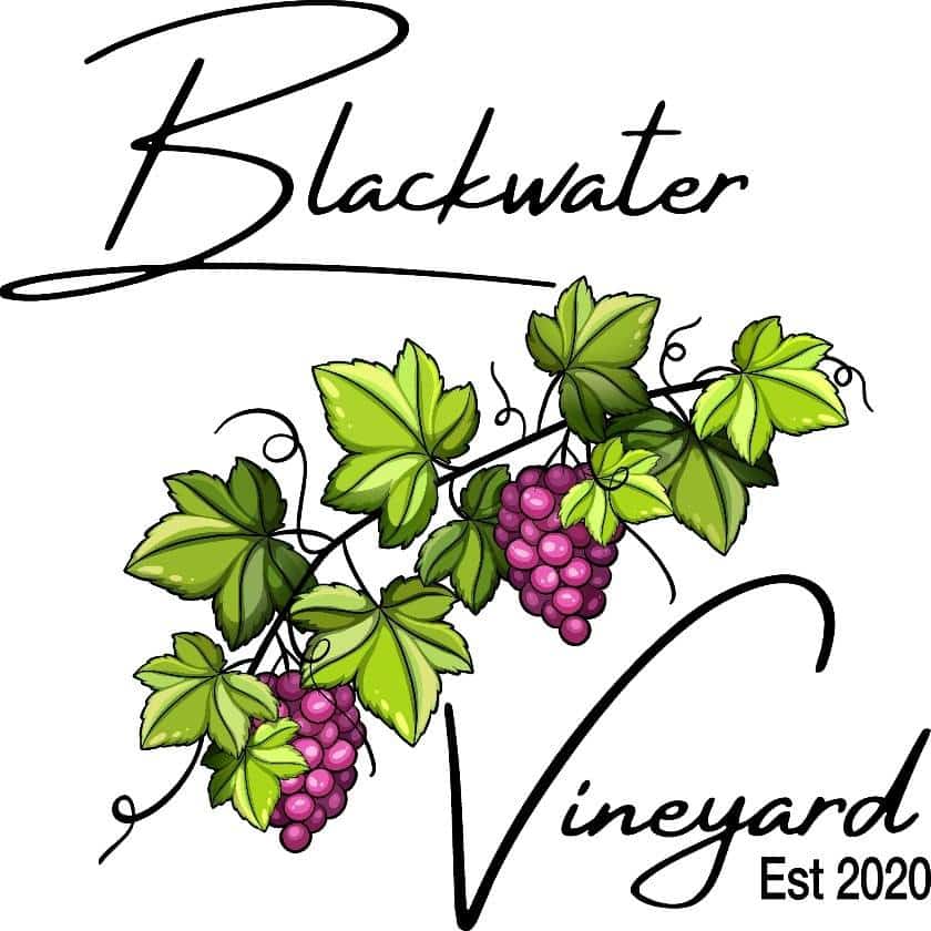 Blackwater Vineyard Logo