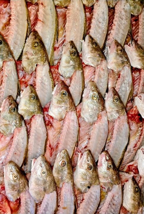 Image: Whiting fish on Ice at Whitehouse Seafood Woodbine Georgia