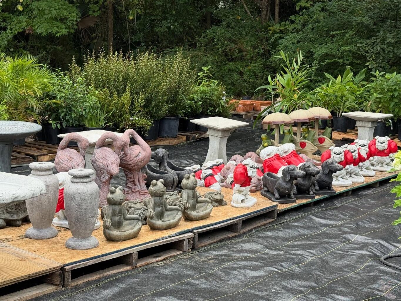 Outdoor shot of cement garden decorations including Georgia Bull Dogs, Reseate Spoonbills, pedestals, mushrooms, etc.