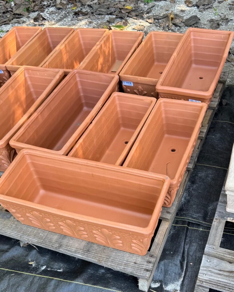 Display of Rectangular Terracotta Planters