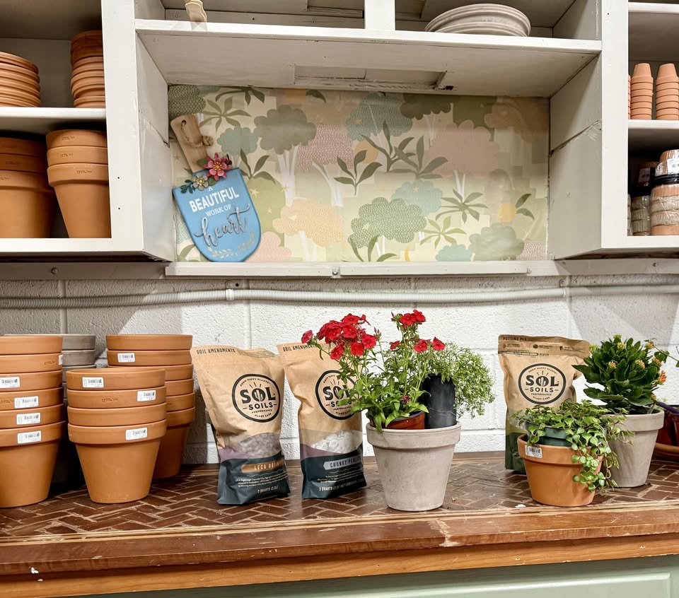 River Tides Emporium Interior Shot