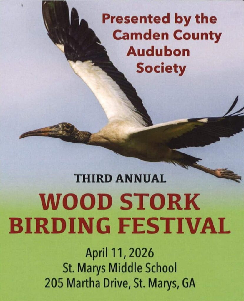 flyer for wood stork birding festival 2026