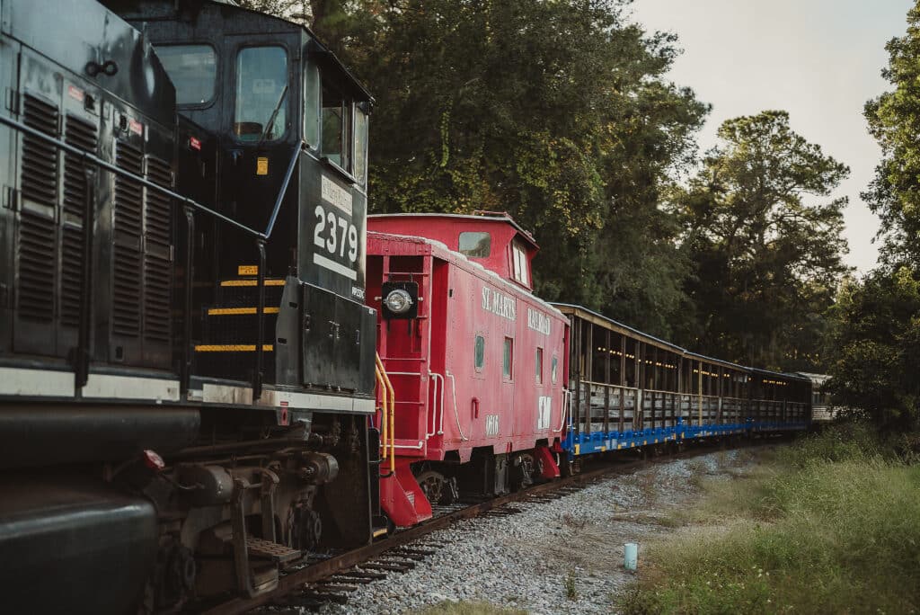 kingsland-train-historic-blue-and-red-box-cars-going-down-the-track-in-front-of-forest