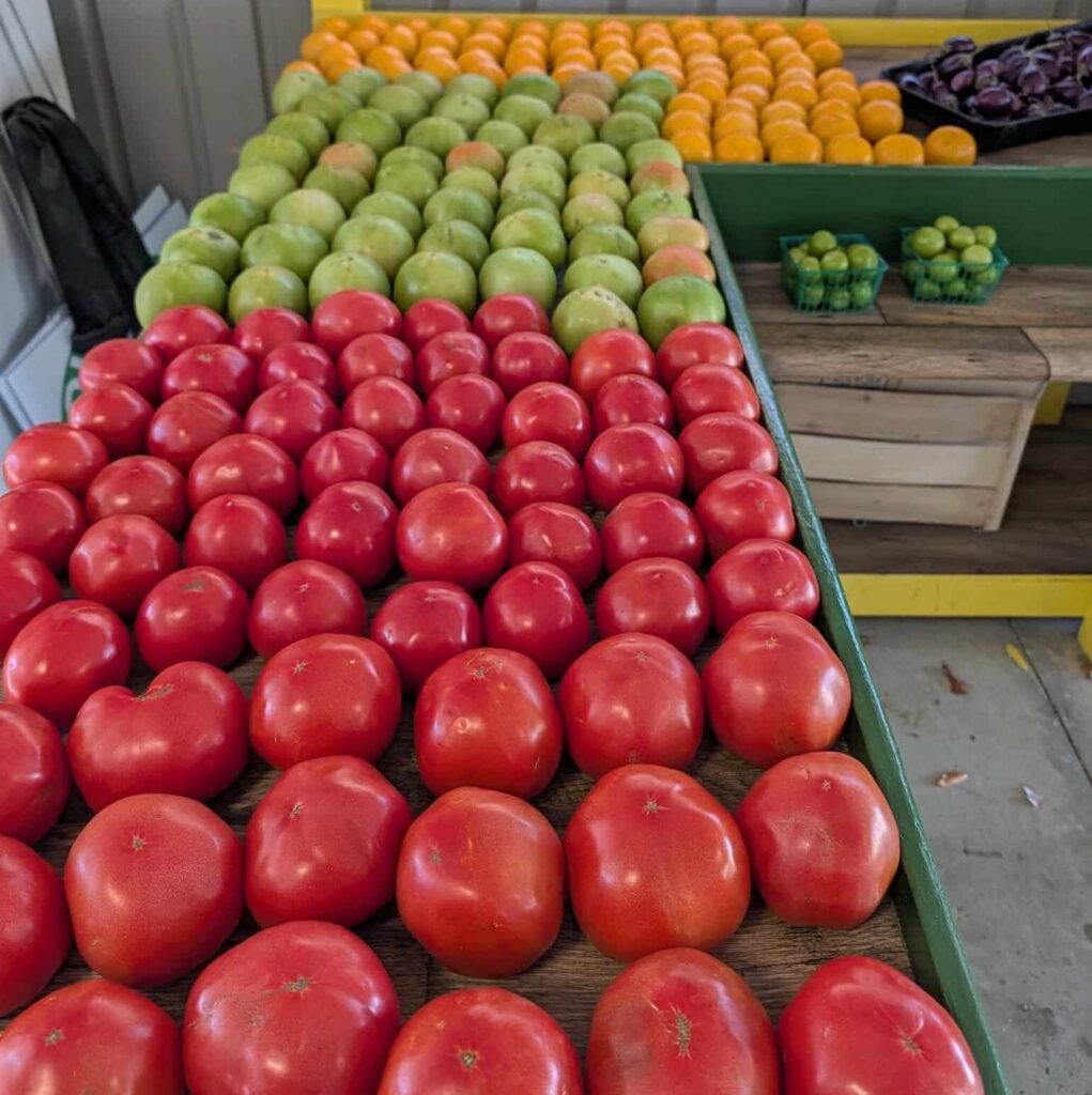 Display of dozens of tomatoes, mangos, oranges, and eggplants and two baskets of limes at Camden Market February 2026