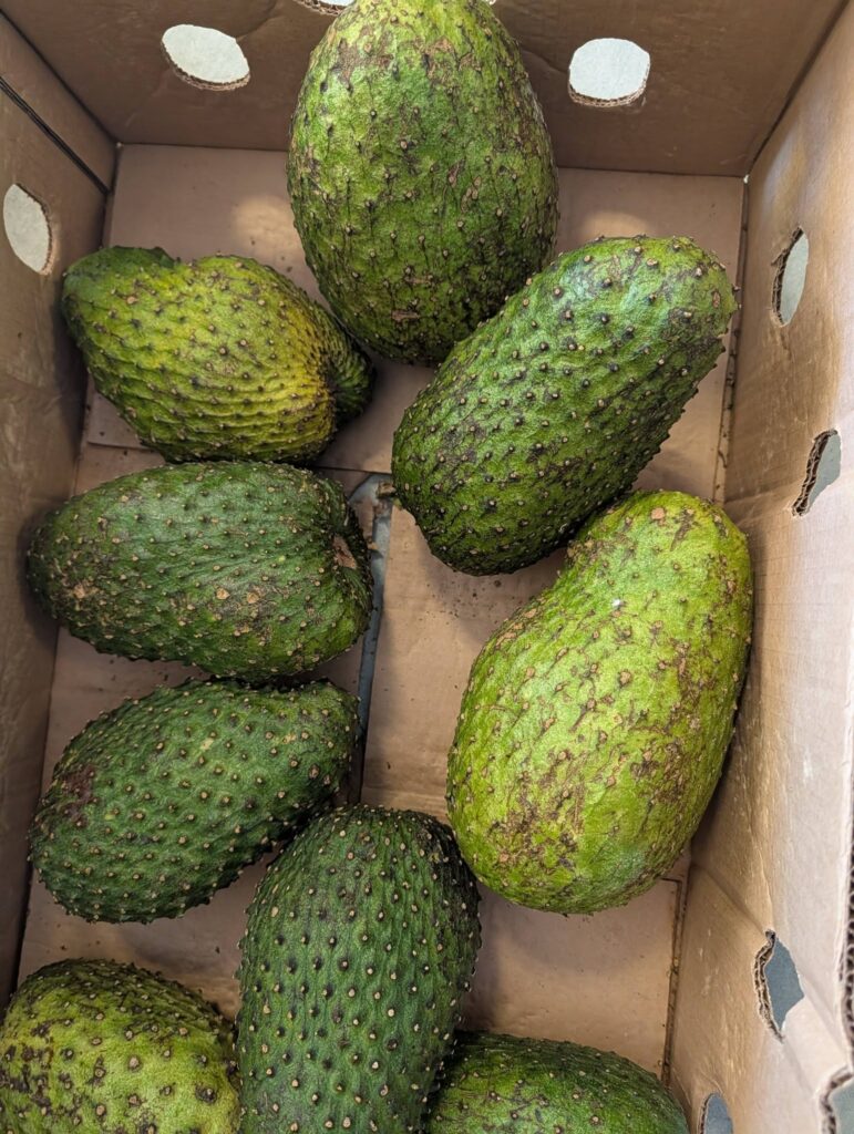 Overhead shot of box containing 9 green and spikey soursop fruits