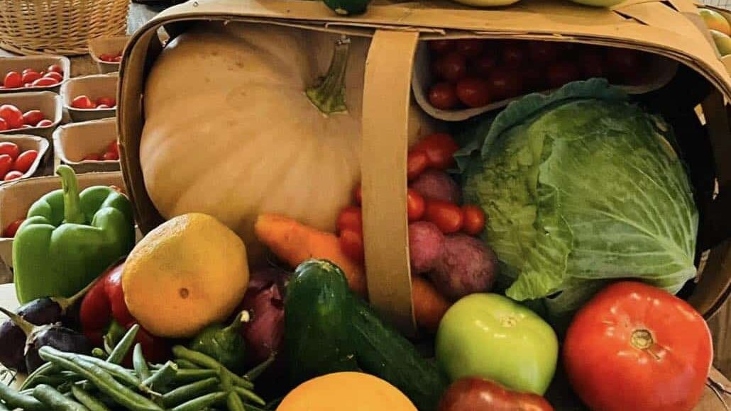 Display of colorful vegetables featuring a picnic basket with handle turned on its side with squash, zucchini, cabbage tomato, green beans spilling out and stacked on top of the upper side