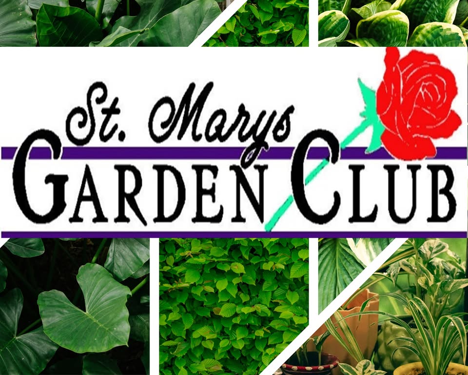 Facebook Header for St. Marys Garden Club with a variety of green plants