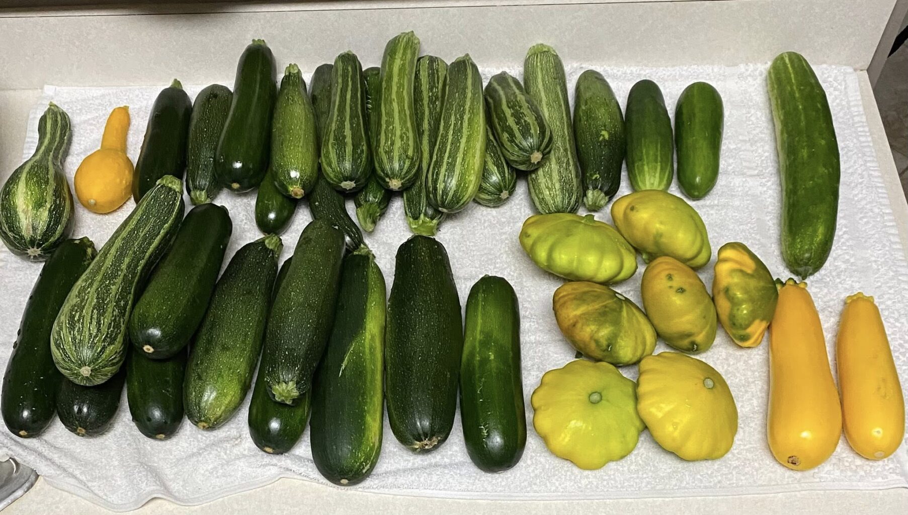Start Fresh Farm Zucchinis and Squash from FB 05-2025