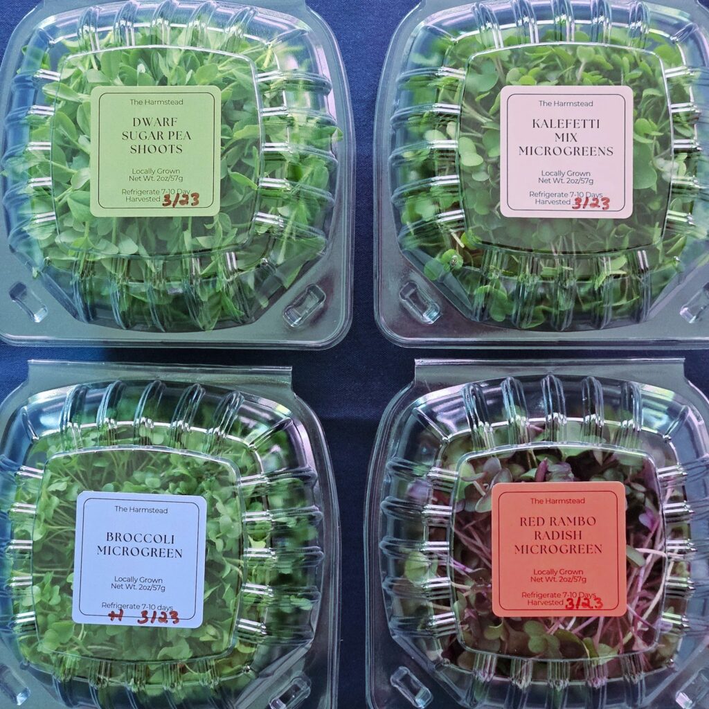 Four clear plastic boxes each filled with a different kind of microgreen and labeled on the top