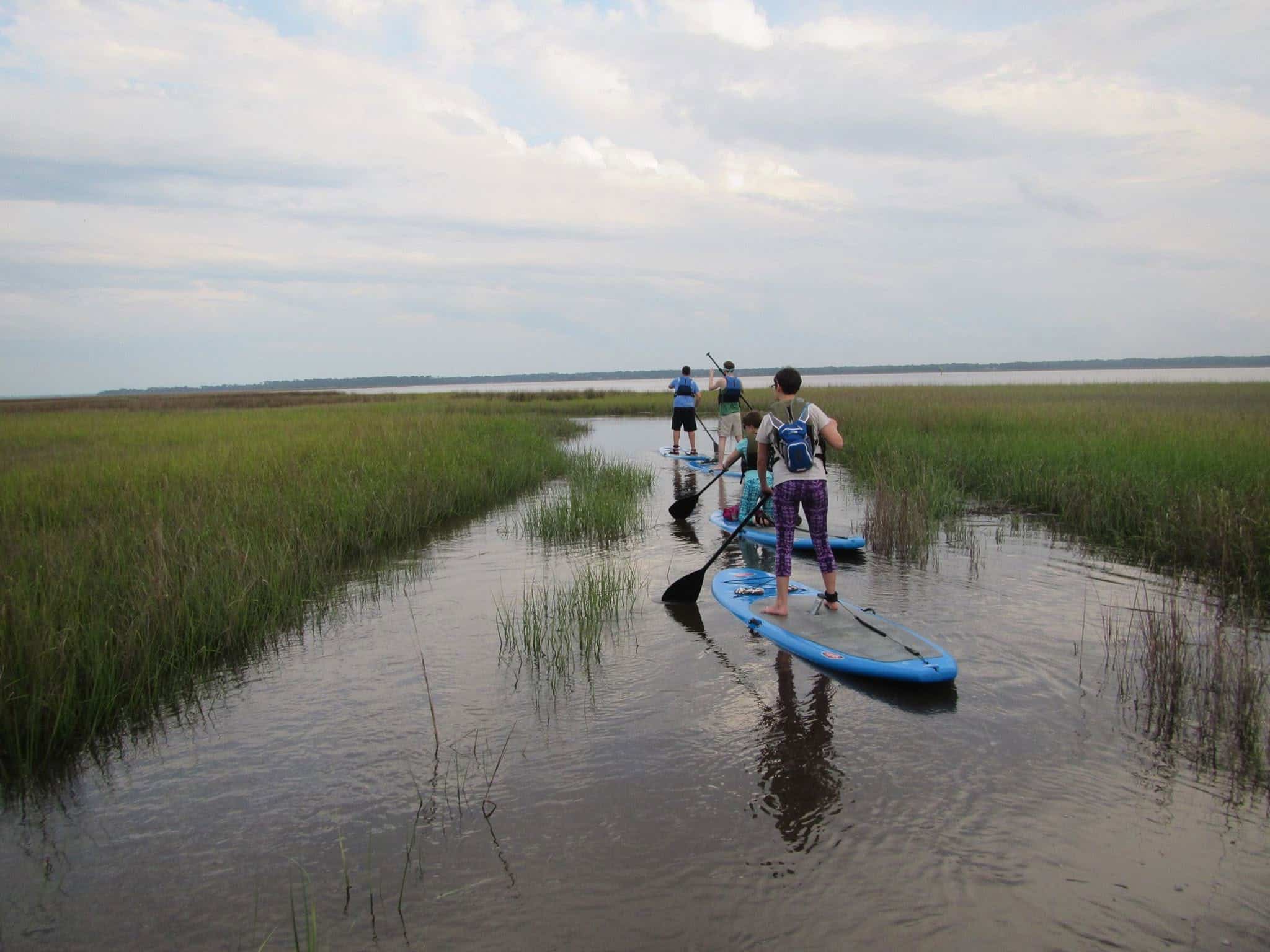 Paddle boarders on the marsh