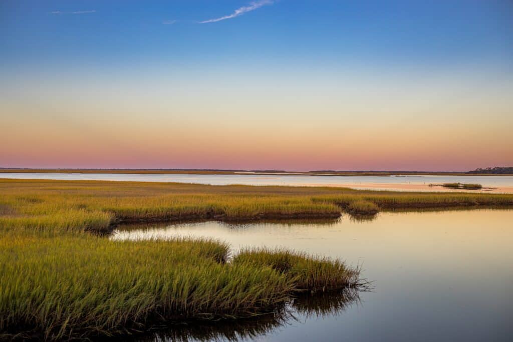 The sun rises along a marshy area of the St. Marys River