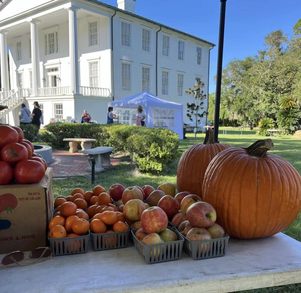 Fall produce, including apples and pumpkins on a table on the lawn at Orange Hall, a large, white Georgian home in the background