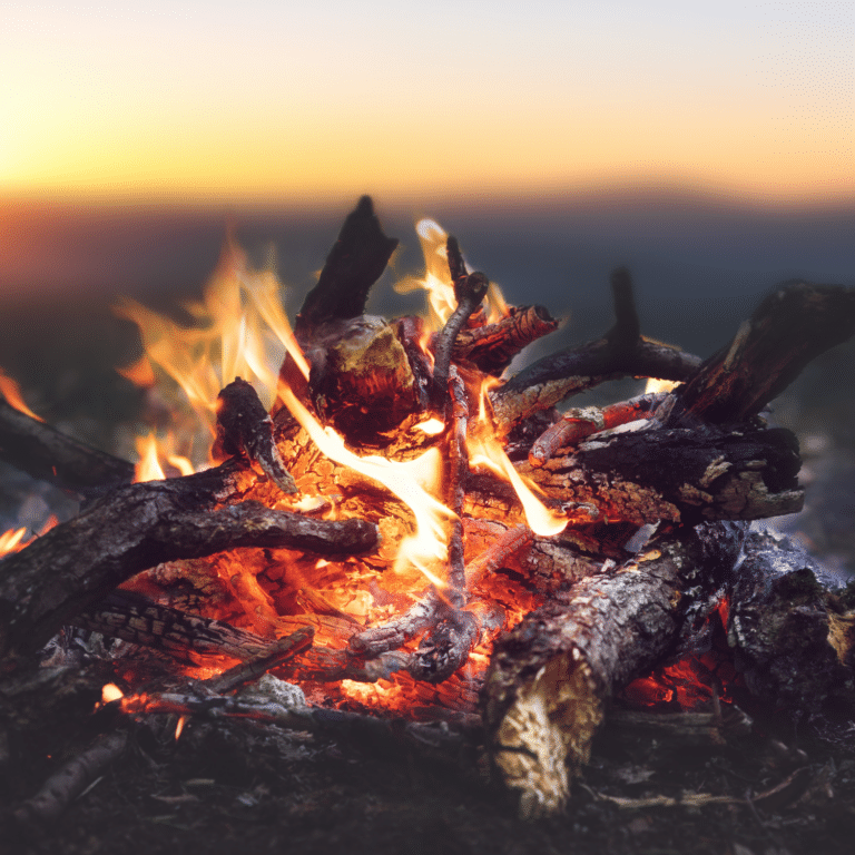 close up of campfire at sunset