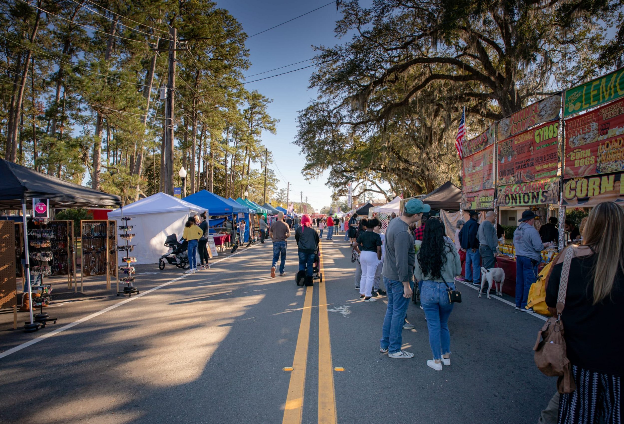 Catfish-festival-downtown-kingsland-georgia-food-vendors-catfish-dinners-live-music-craft-vendors