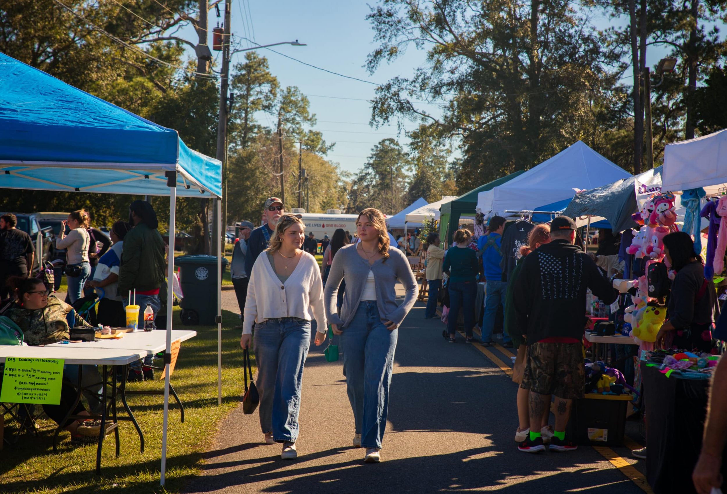 Catfish-festival-downtown-kingsland-georgia-food-vendors-catfish-dinners-live-music-craft-vendors