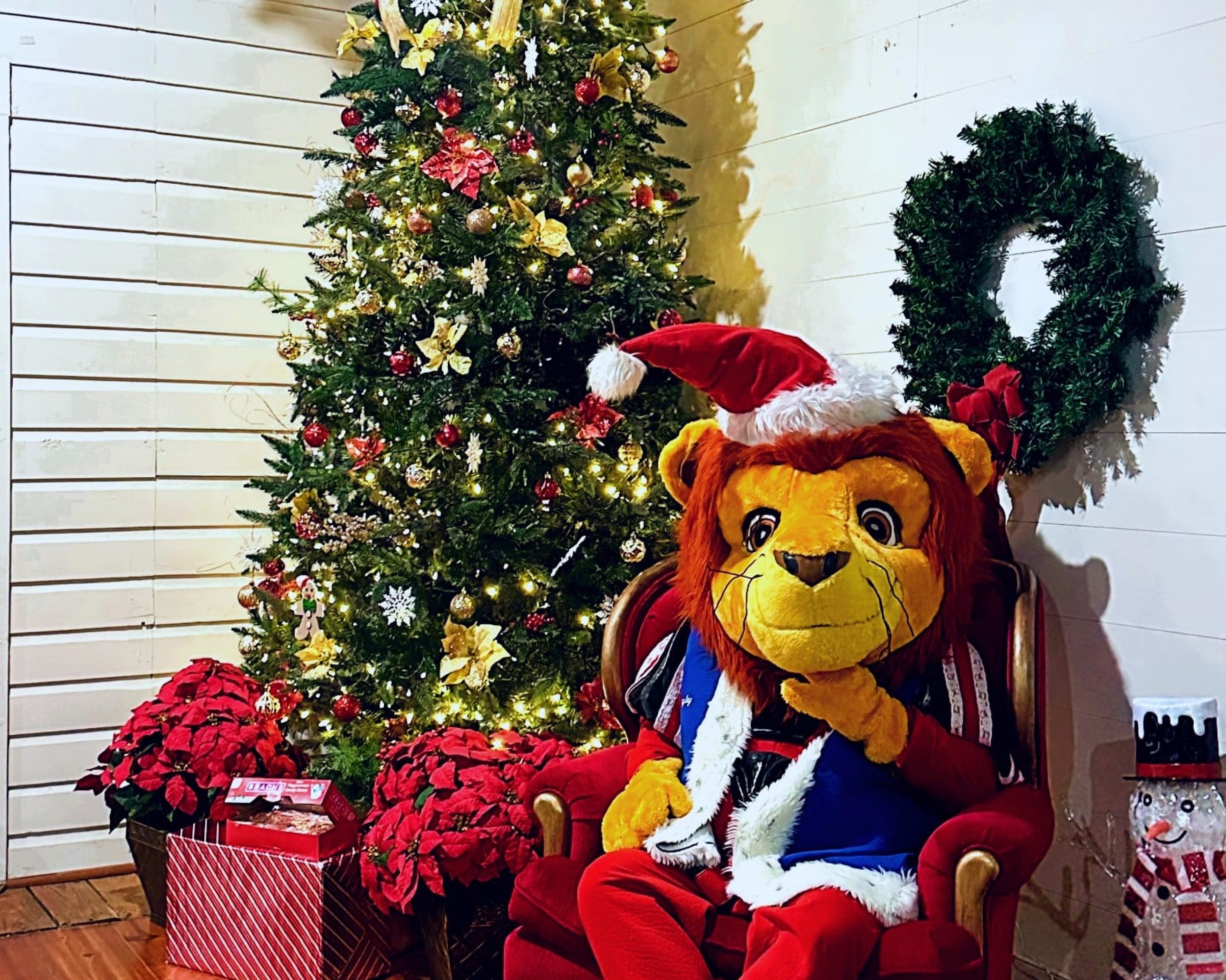 Kingsley at Christmas